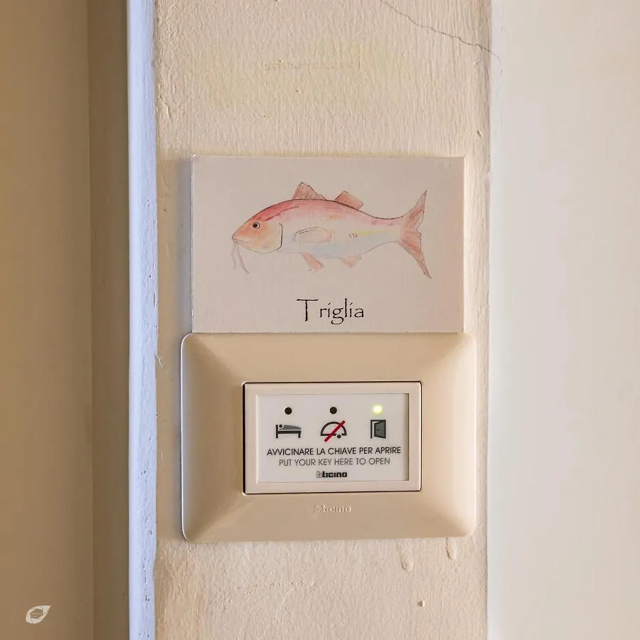 Hotel Casa Arsella Viareggio Affittacamere