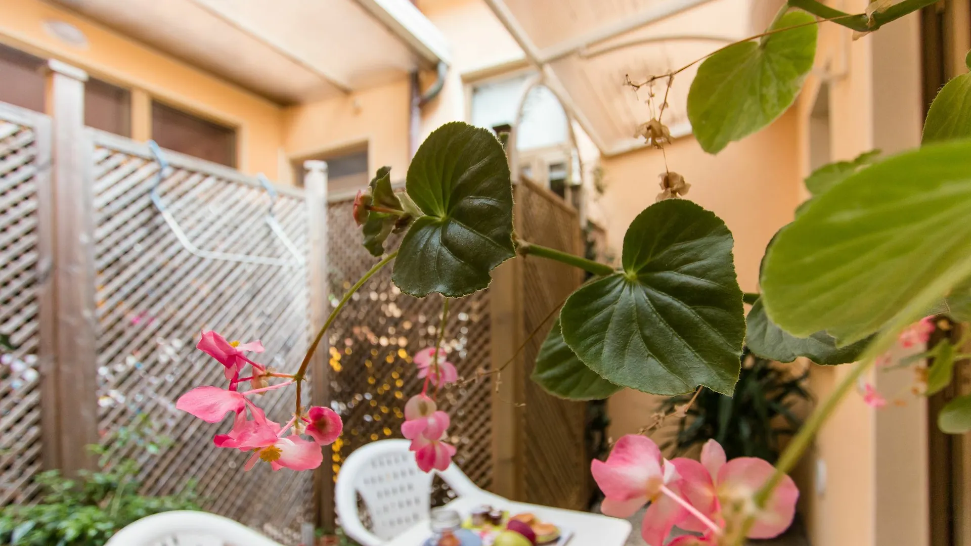 Hotel Casa Arsella Viareggio